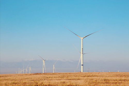 風(fēng)力發(fā)電有危害 為啥歐美忙著大面積拆除,中國卻還要大力發(fā)展