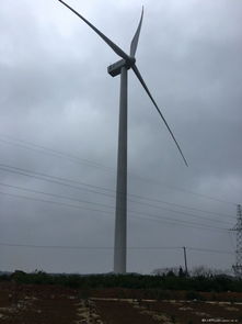 風(fēng)力發(fā)電的噪音困擾 綠色能源背后的鄰里挑戰(zhàn)